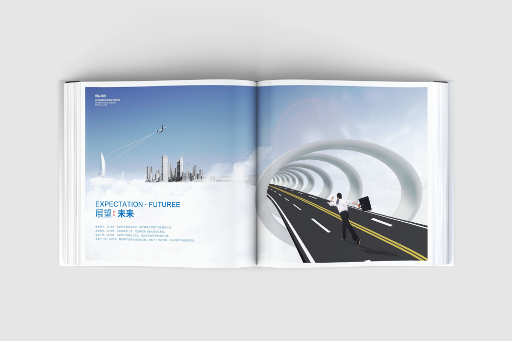 囊谦县画册设计